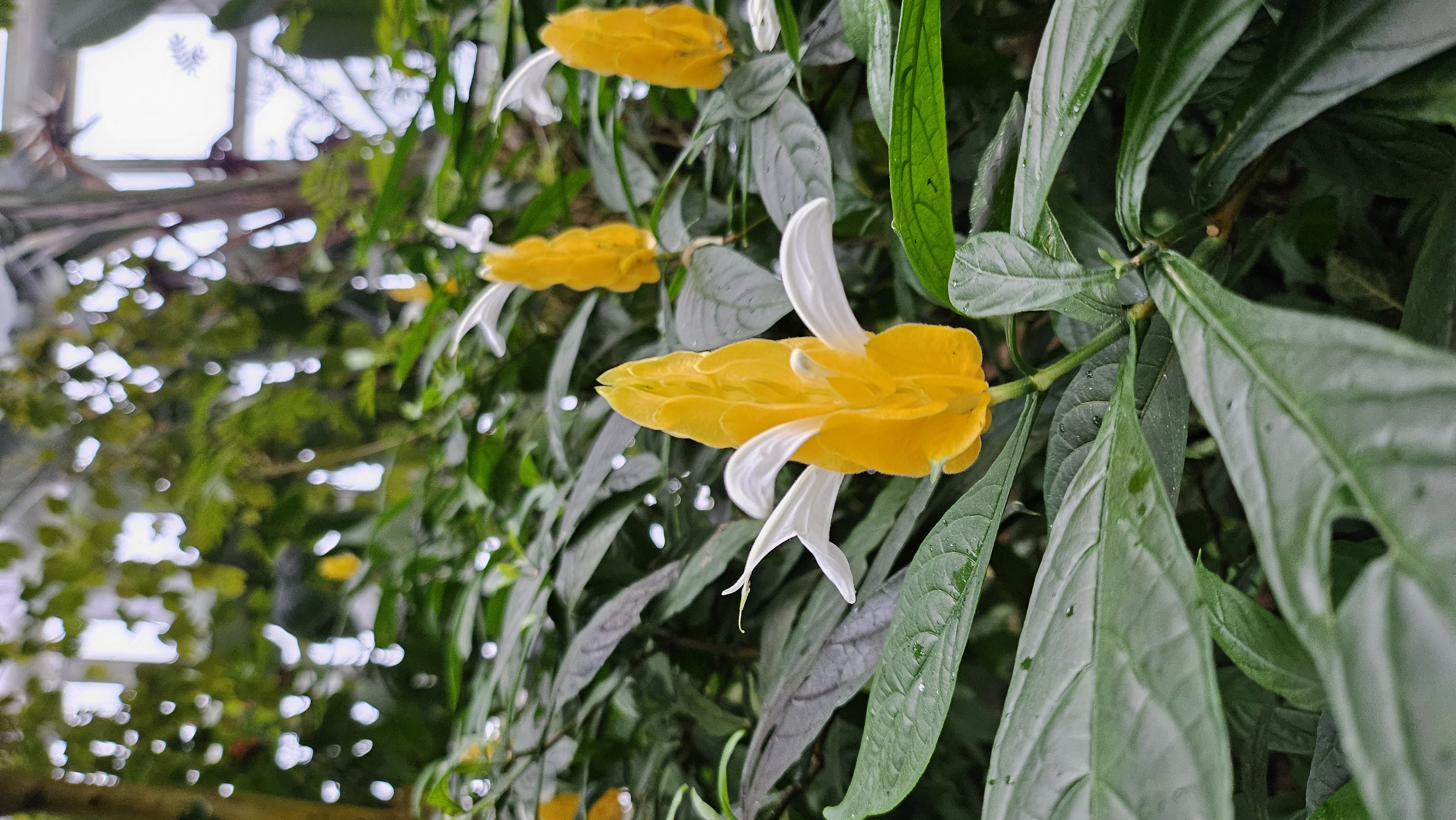 프로필사진