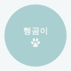 블로그 이미지
