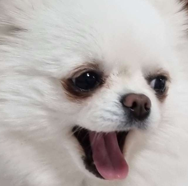 프로필사진