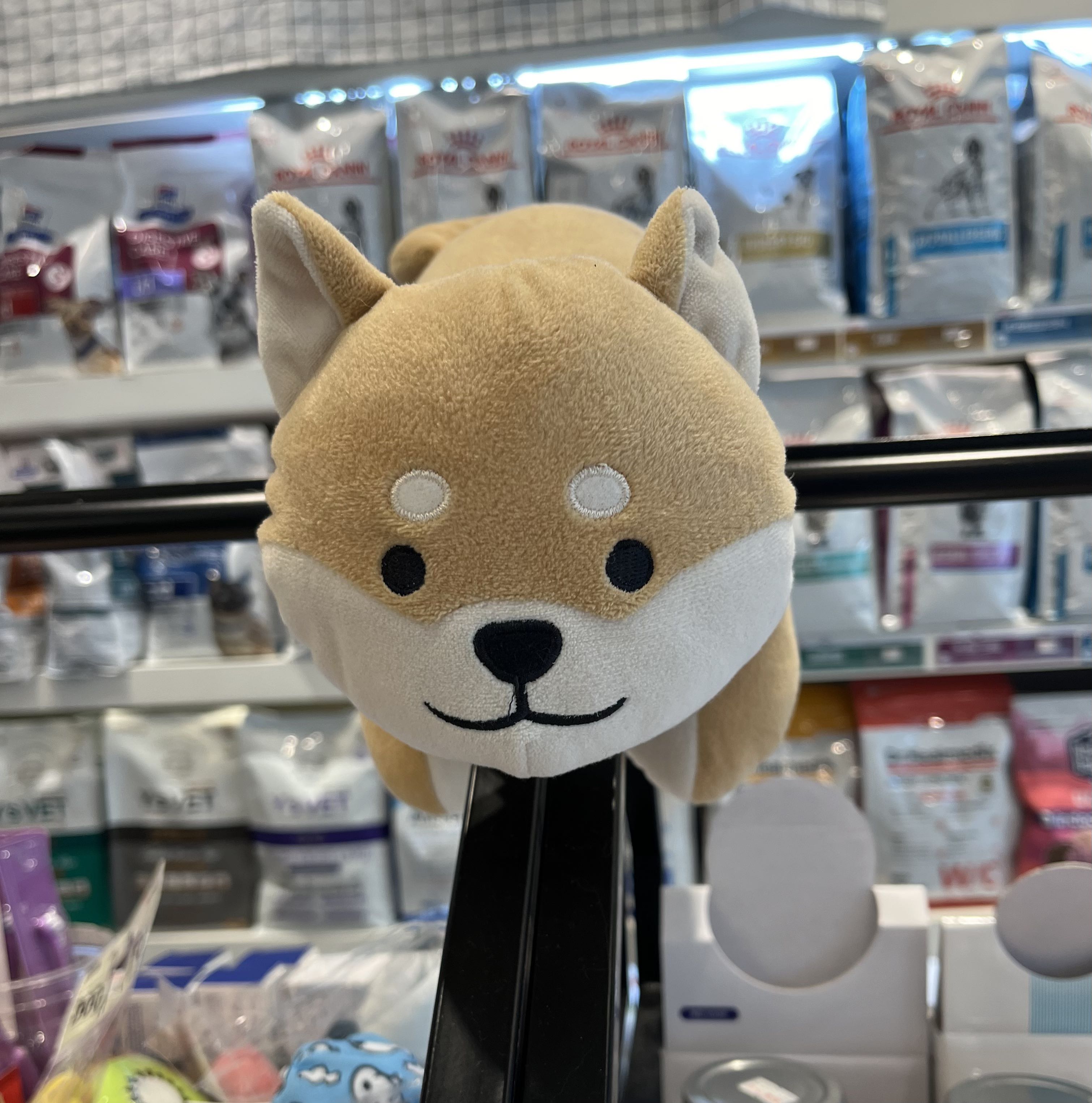 프로필사진