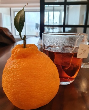 프로필사진