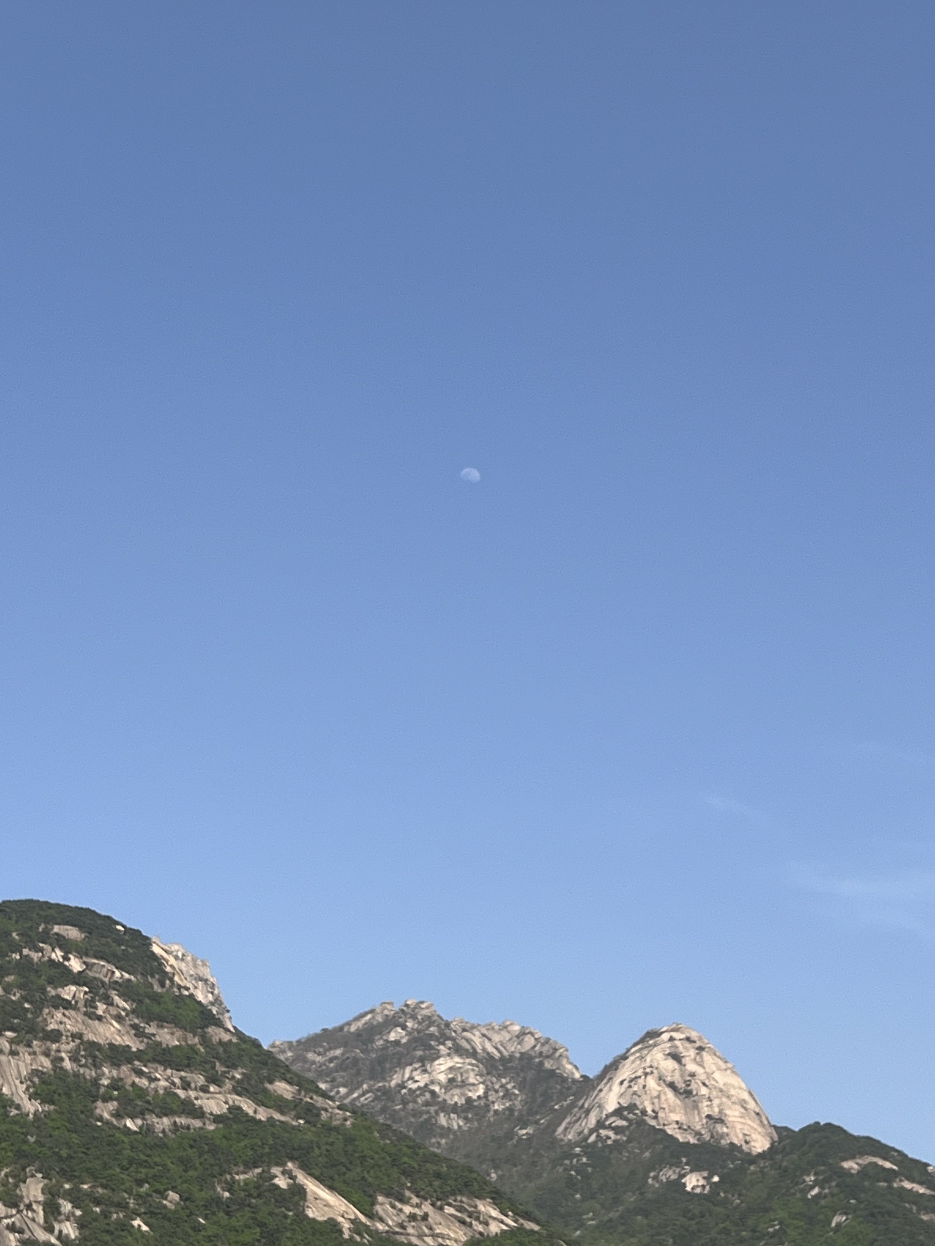 프로필사진