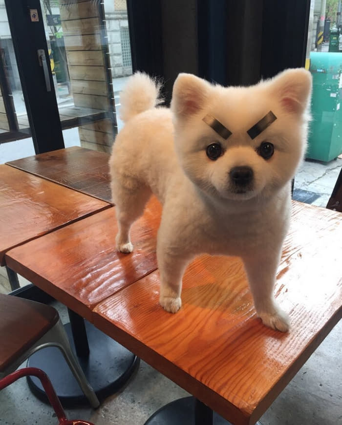 프로필사진