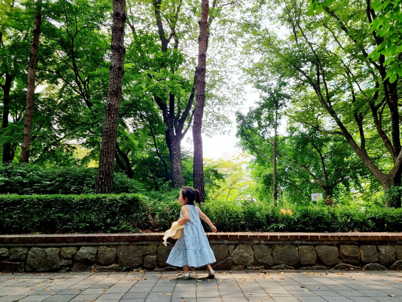 프로필사진