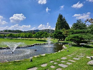 콜브커