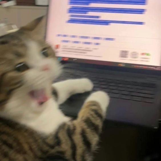 프로필사진