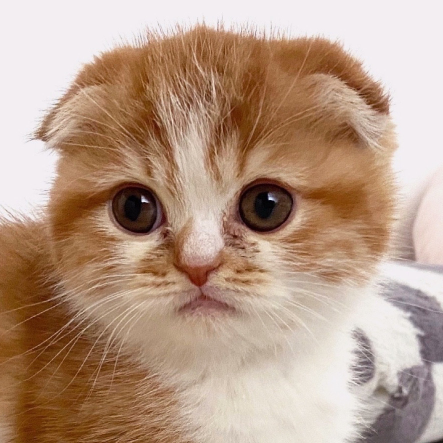 마요빔의 개발일기