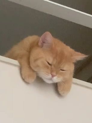 프로필사진