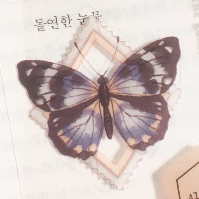 프로필사진