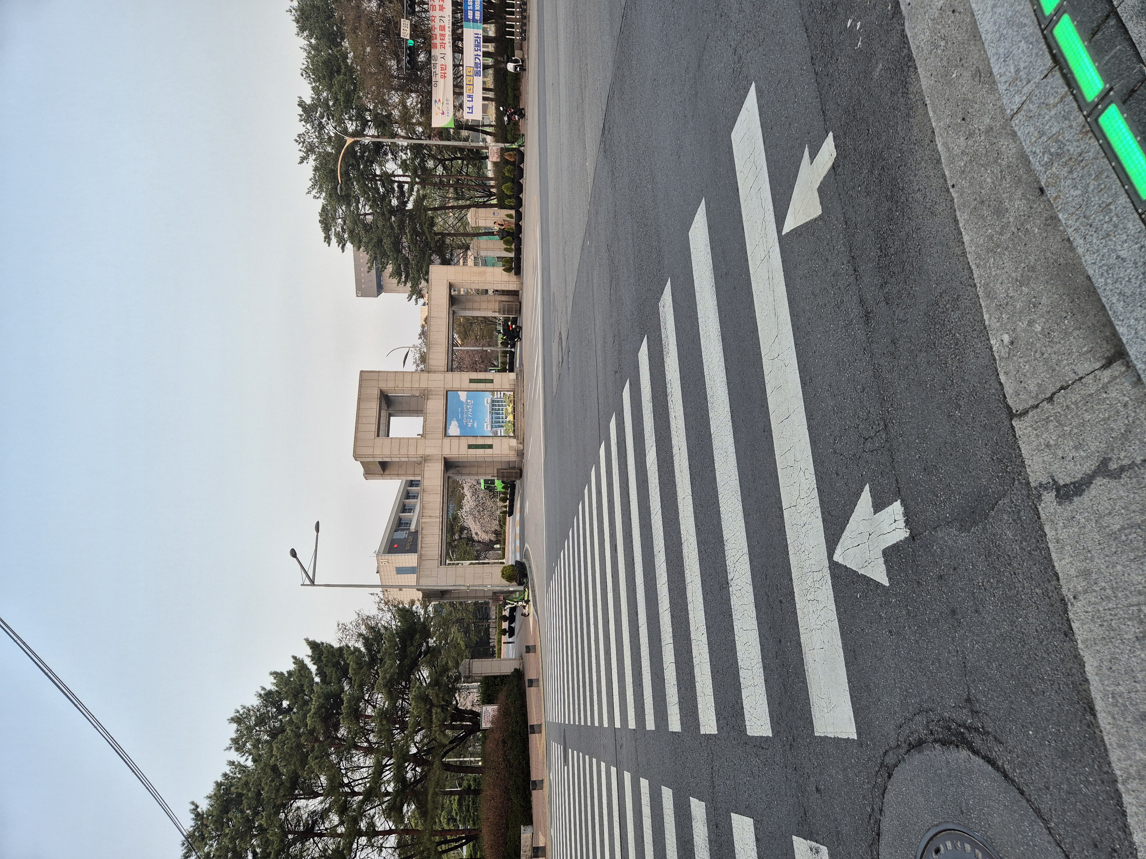 프로필사진