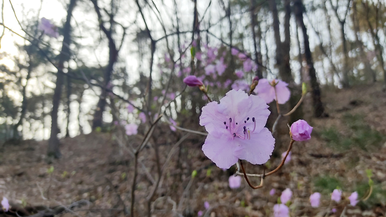 프로필사진