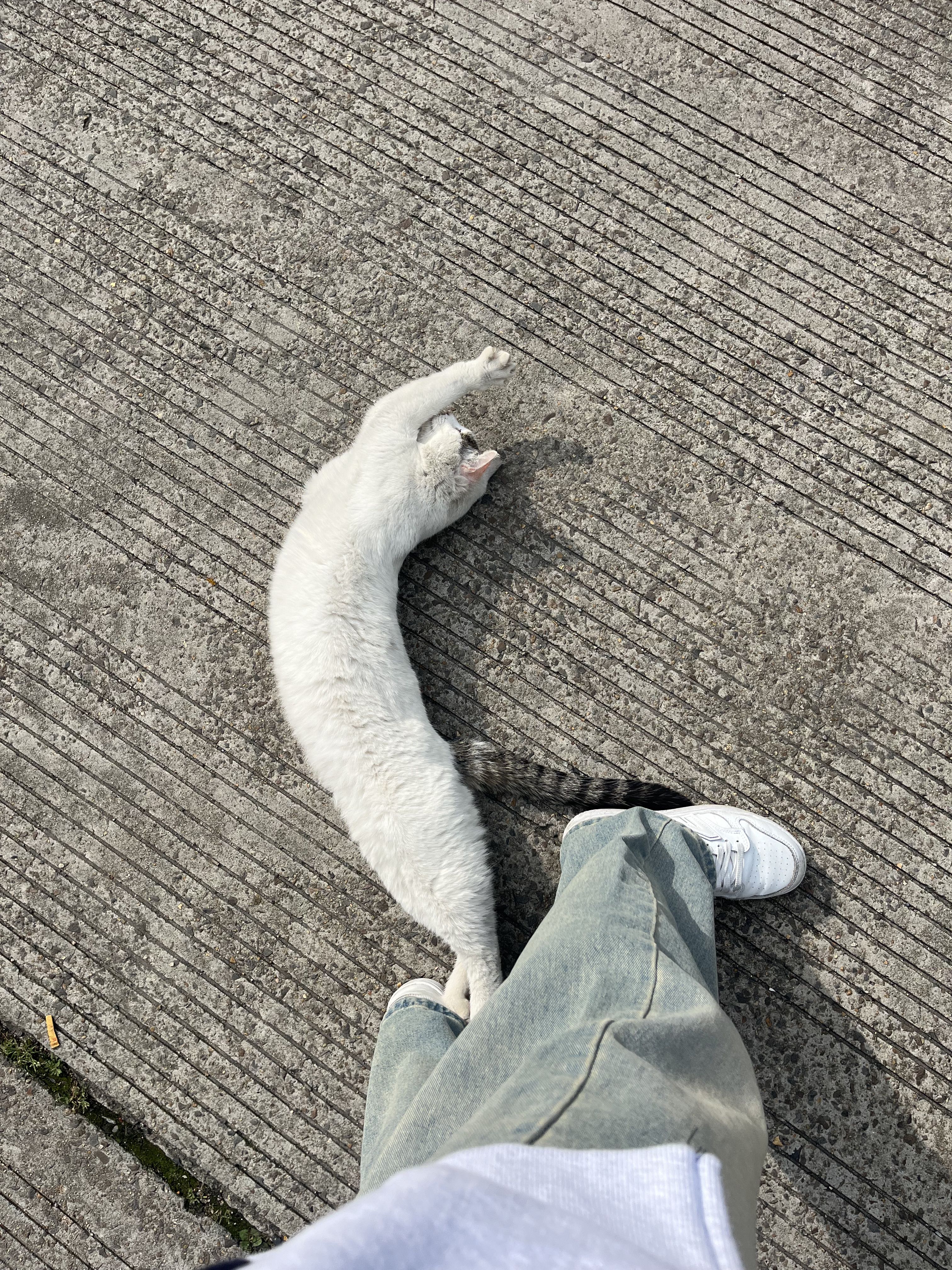 프로필사진