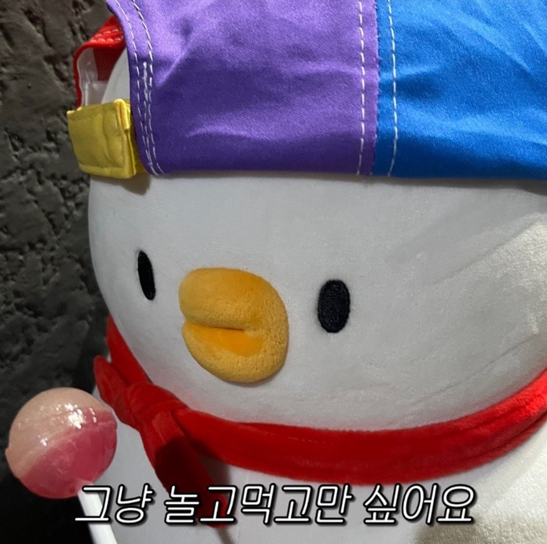 콩쪽이의 세상🐿️