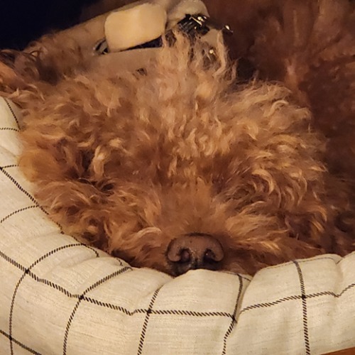 프로필사진