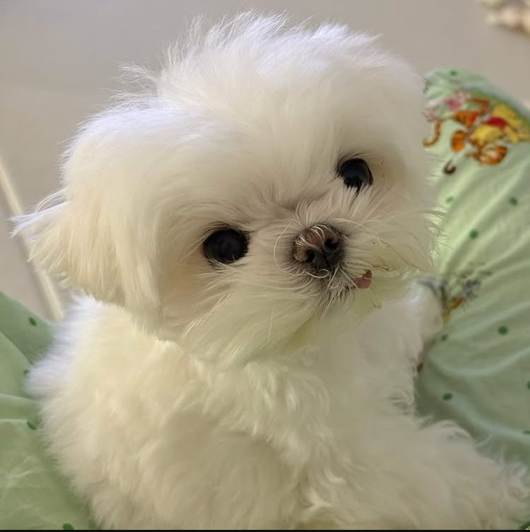 프로필사진