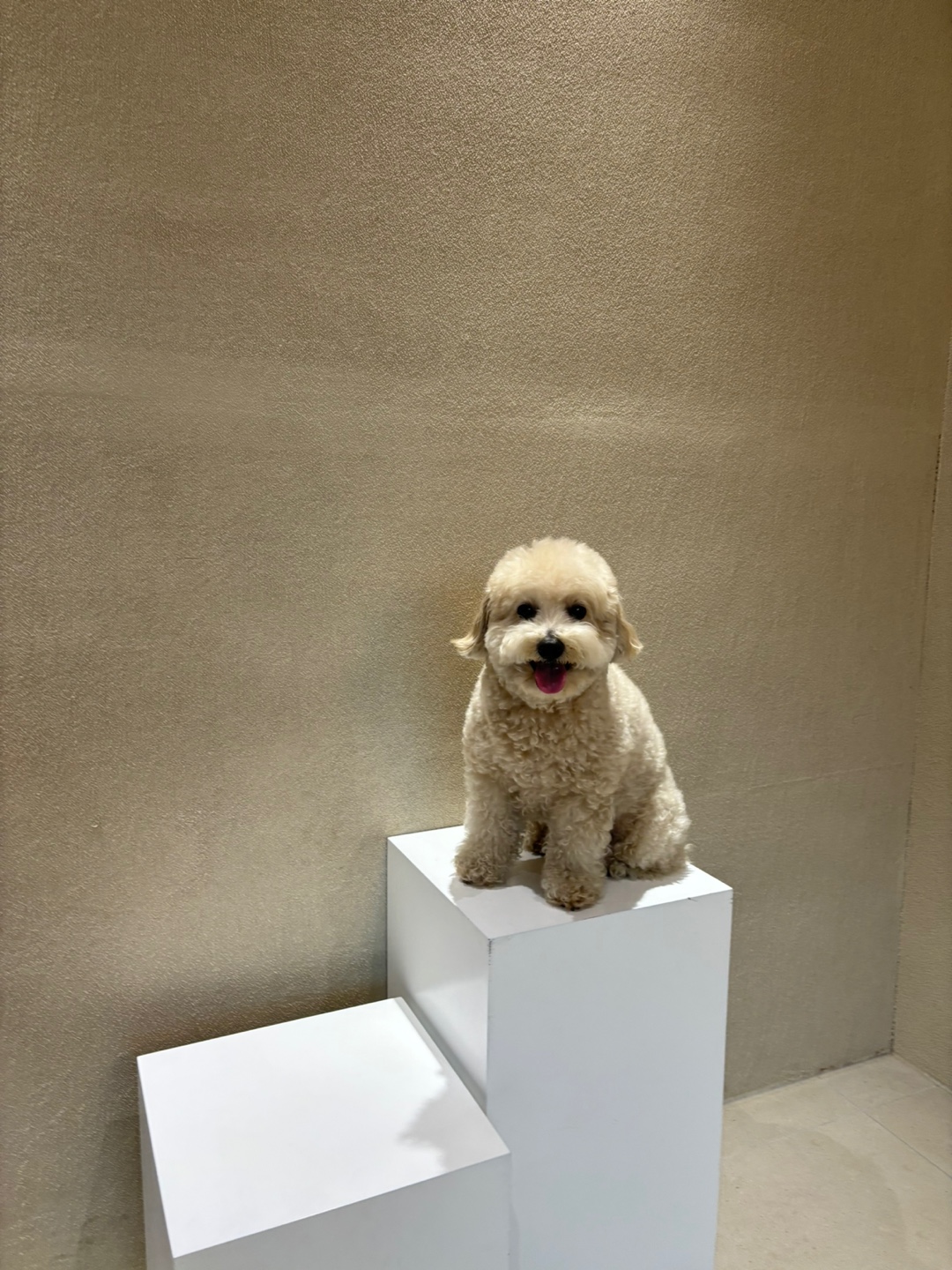 프로필사진