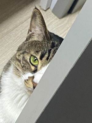 블로그 이미지