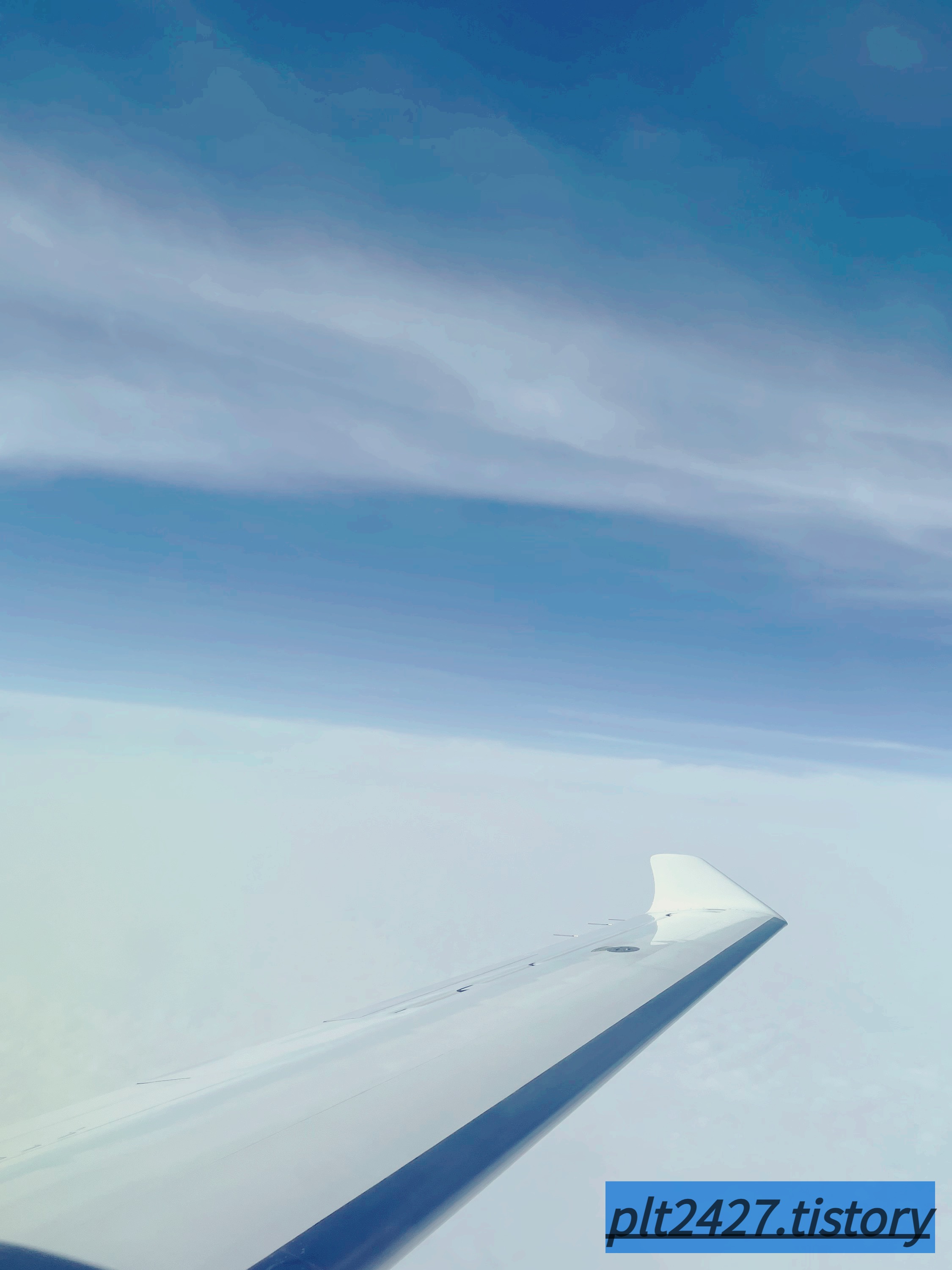 hypoxia 