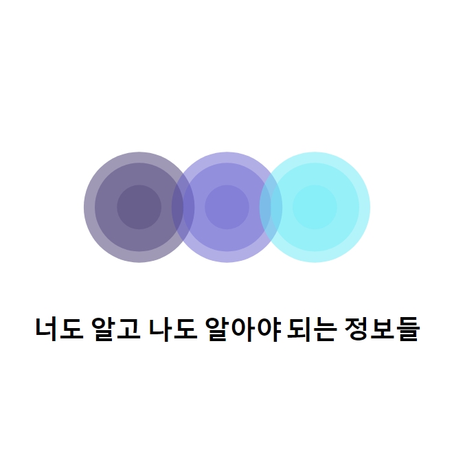 프로필사진