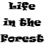 life in the forest