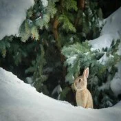 슬기로운 블로그 생활