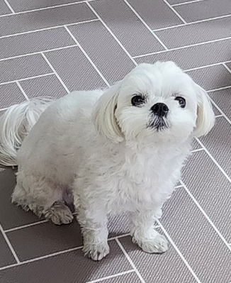 프로필사진