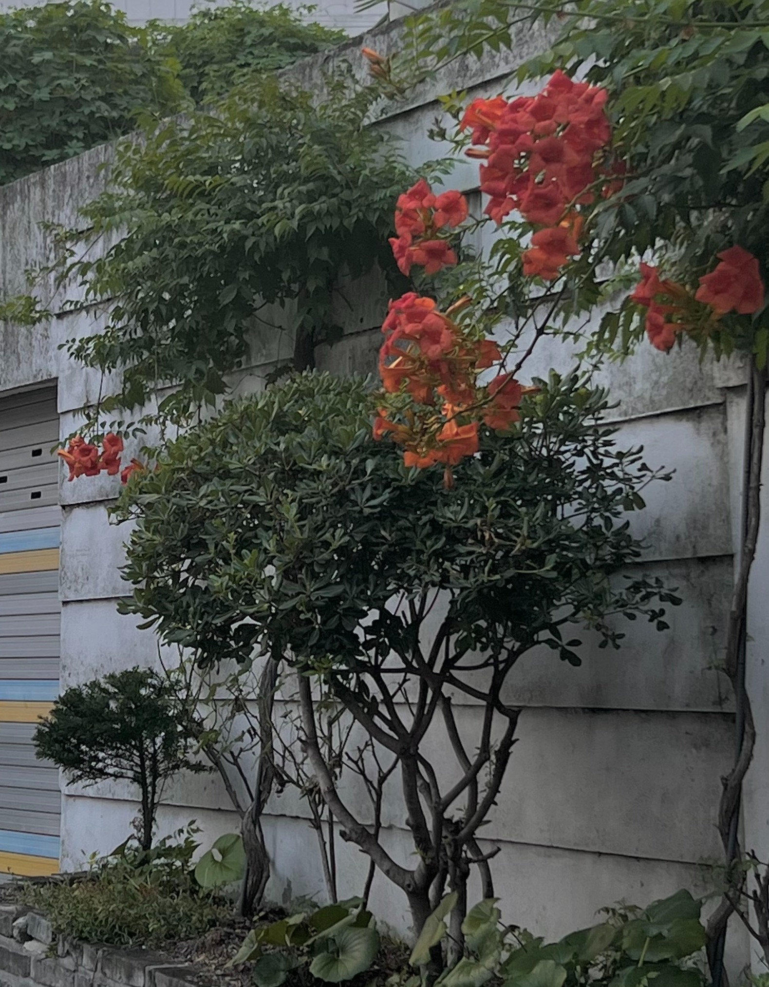 블로그 이미지