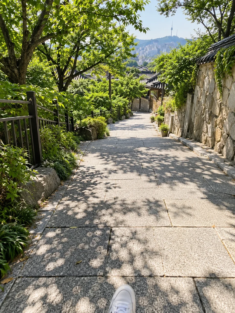 햇빛과 나뭇잎 그림자가 드리운 산책길