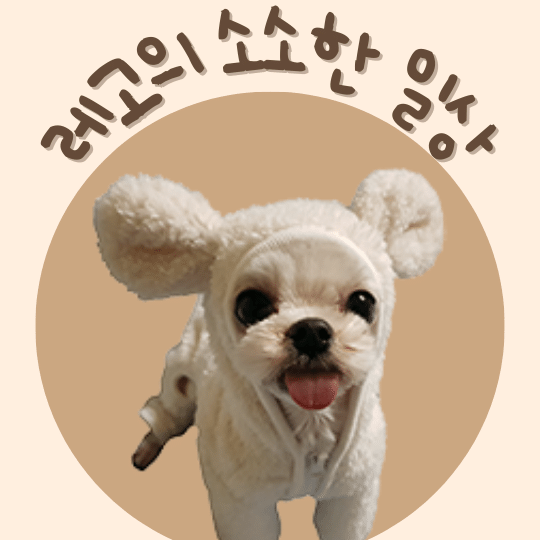 블로그 이미지