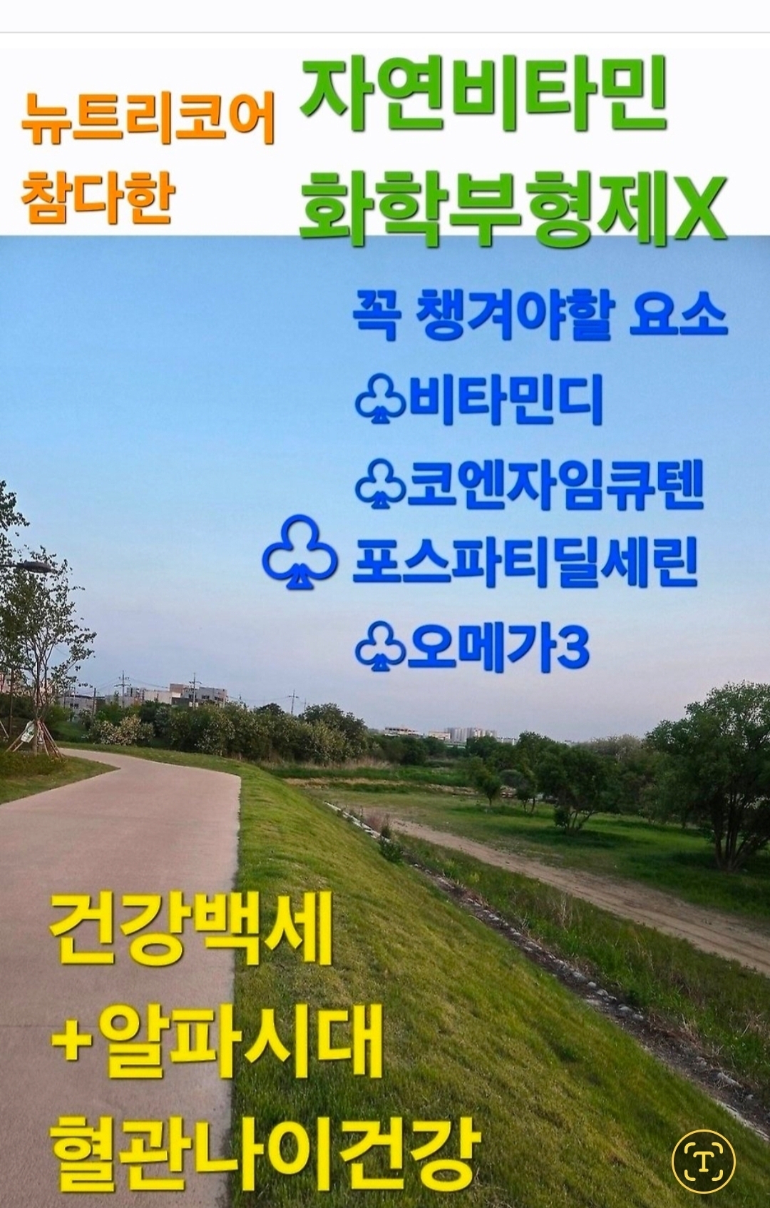 프로필사진