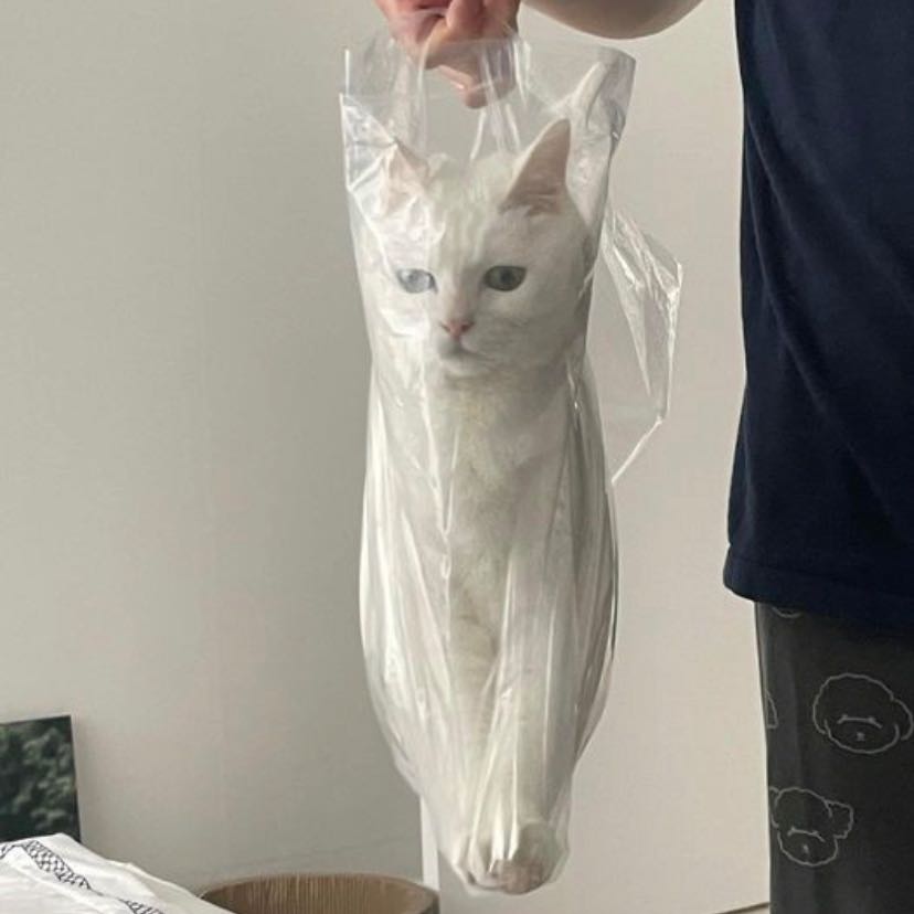 프로필사진