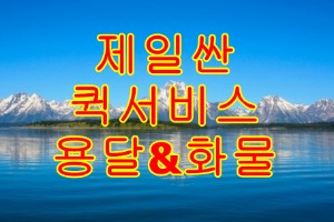 프로필사진