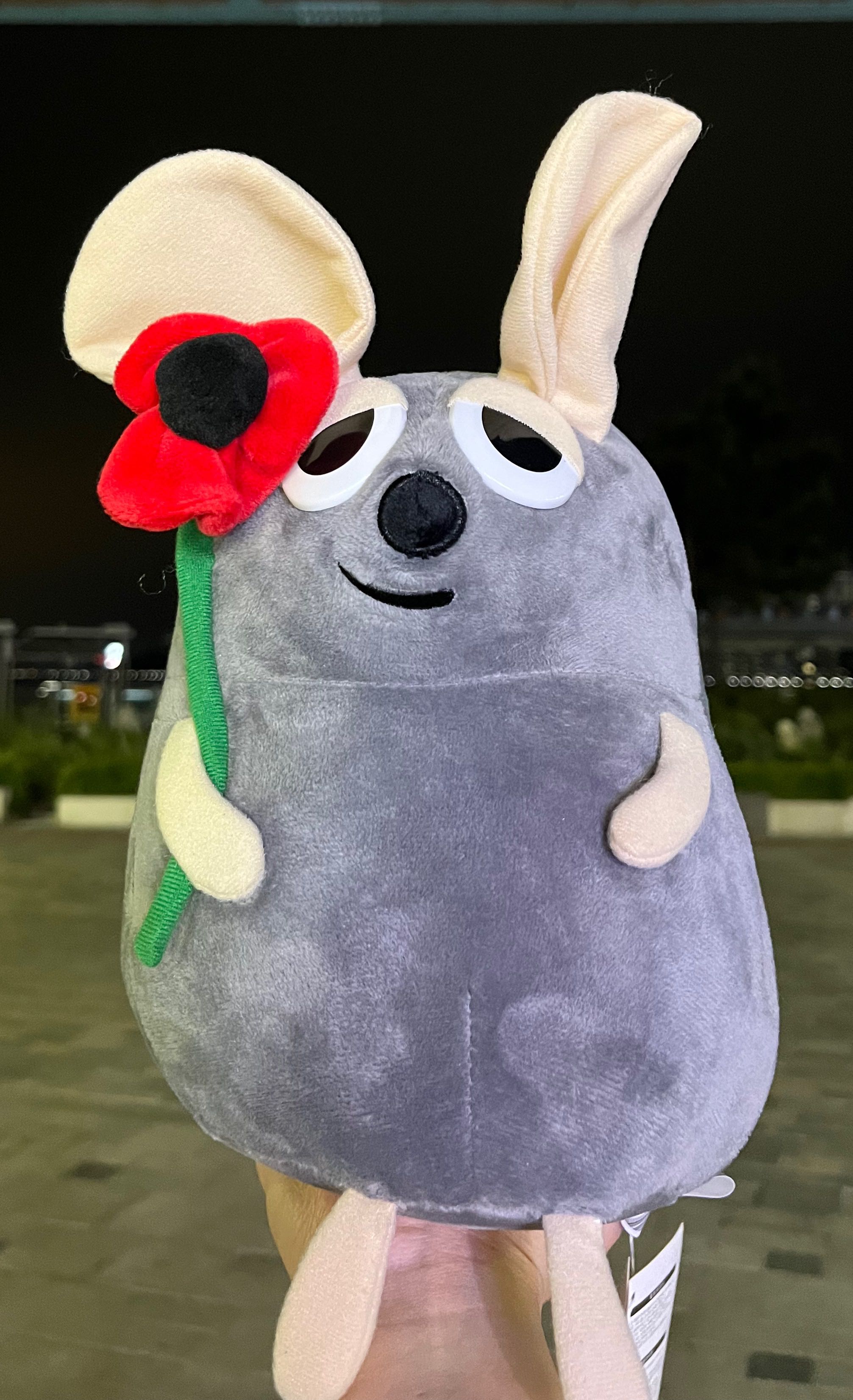 블로그 이미지