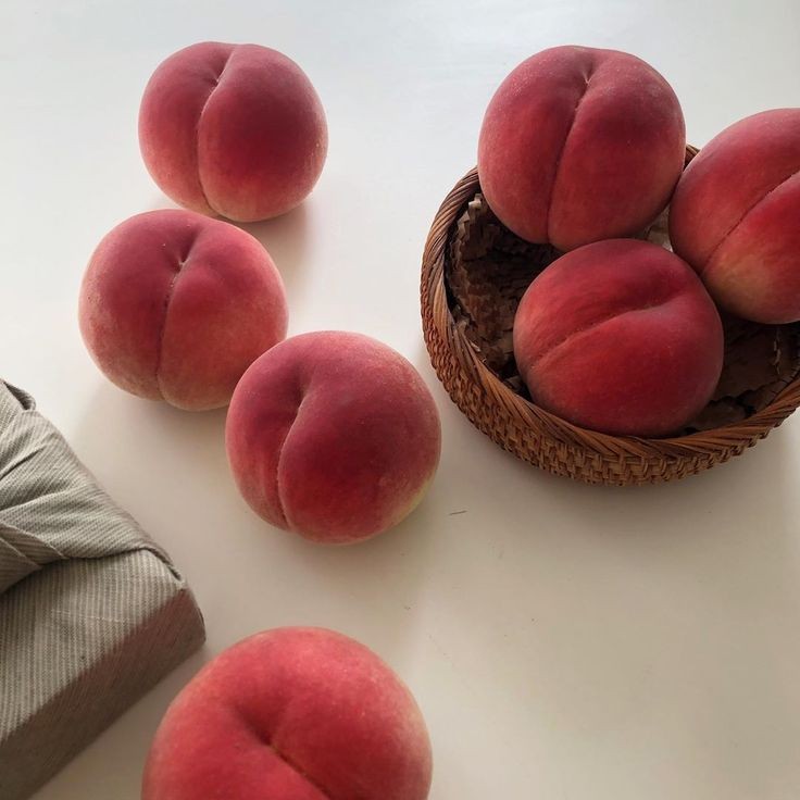 프로필사진