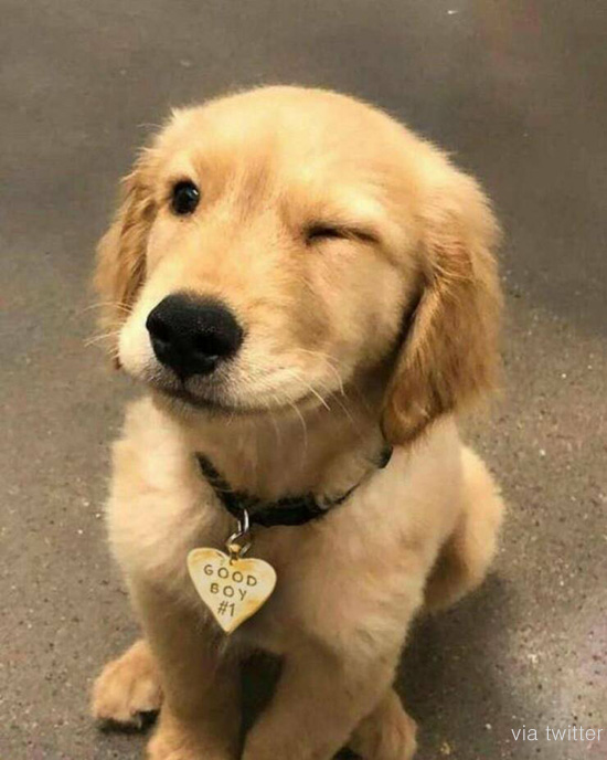 CV 공부하는 대학원생 (석사 2년차)