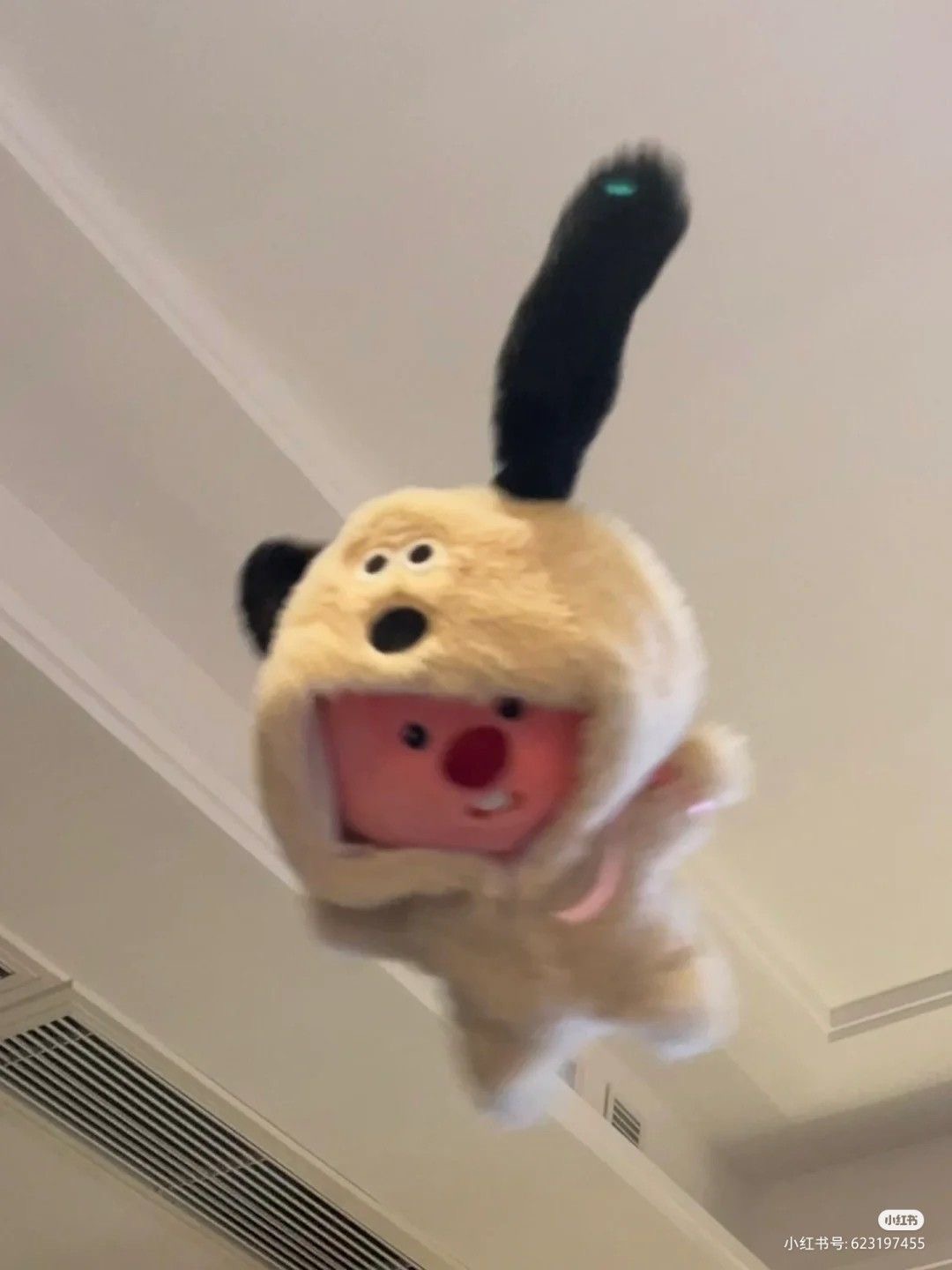 임빵빵