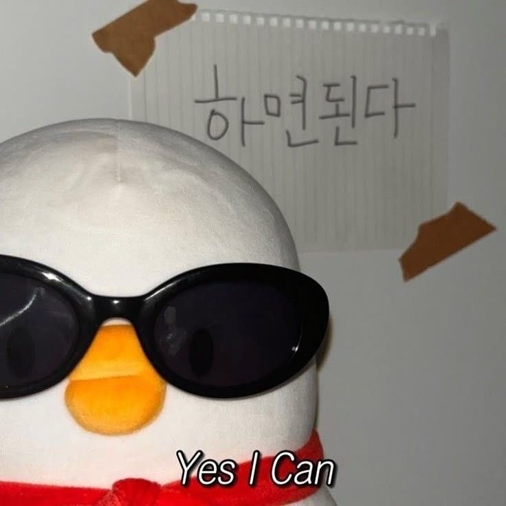 오리 5리
