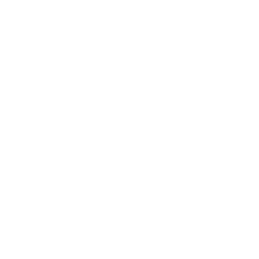 Copy Icon