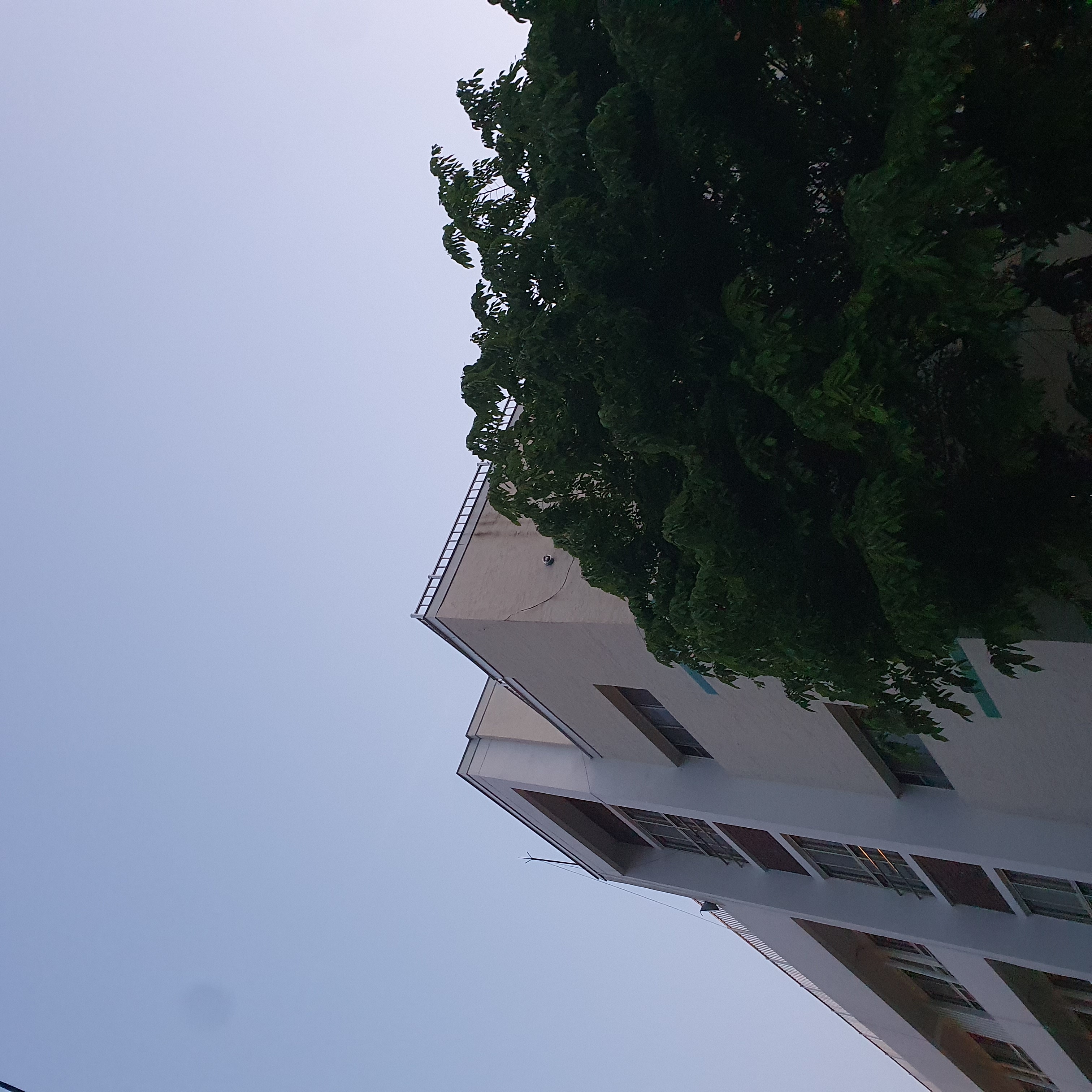 프로필사진