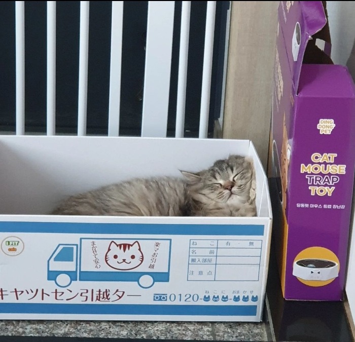 블로그 이미지