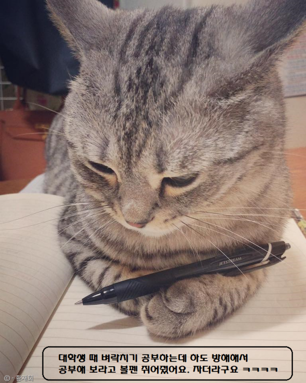 프로필사진