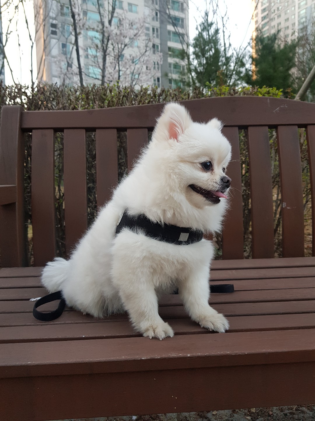 프로필사진