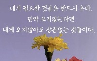프로필사진