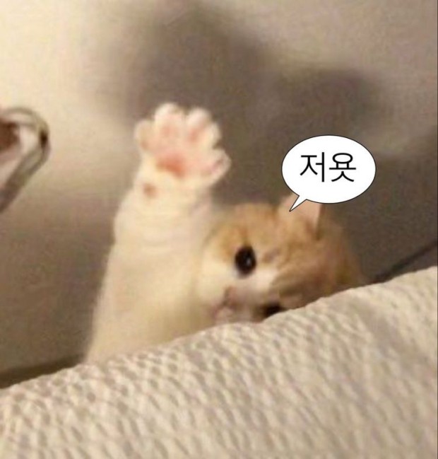 프로필사진