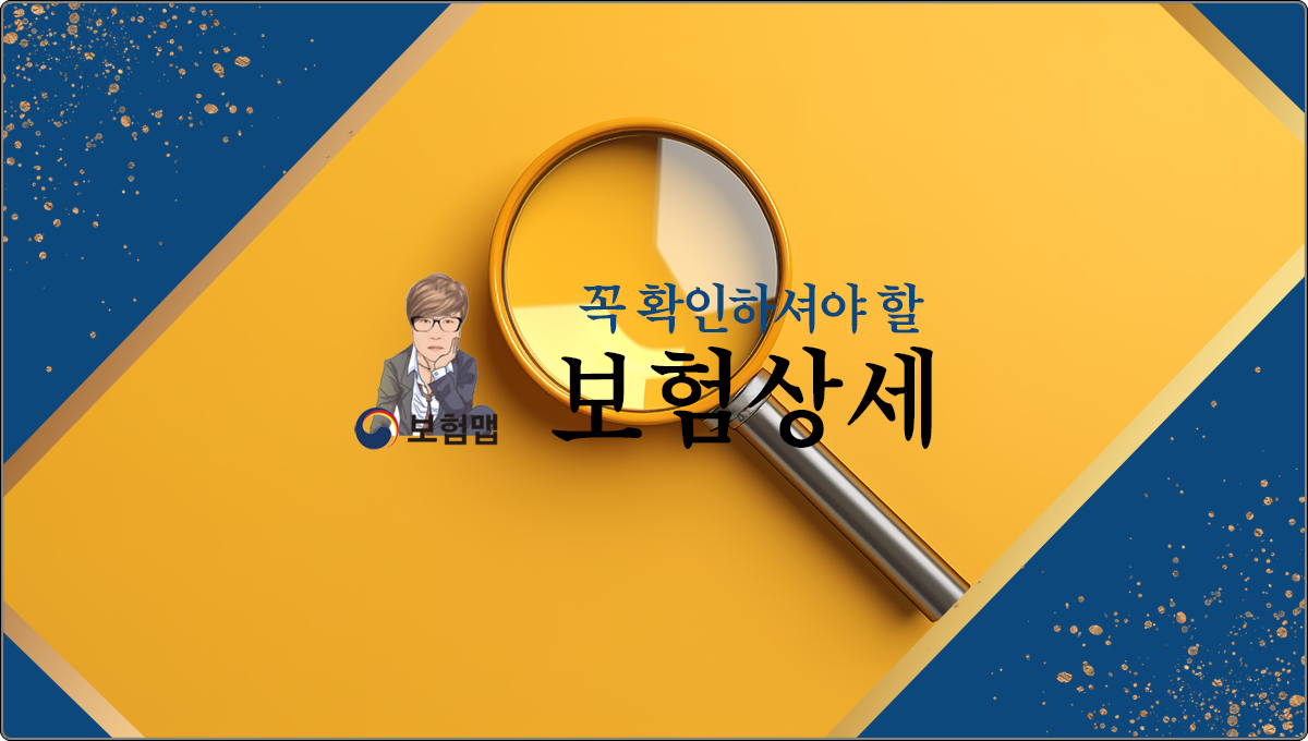 보험상세
