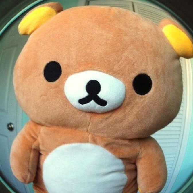 프로필사진
