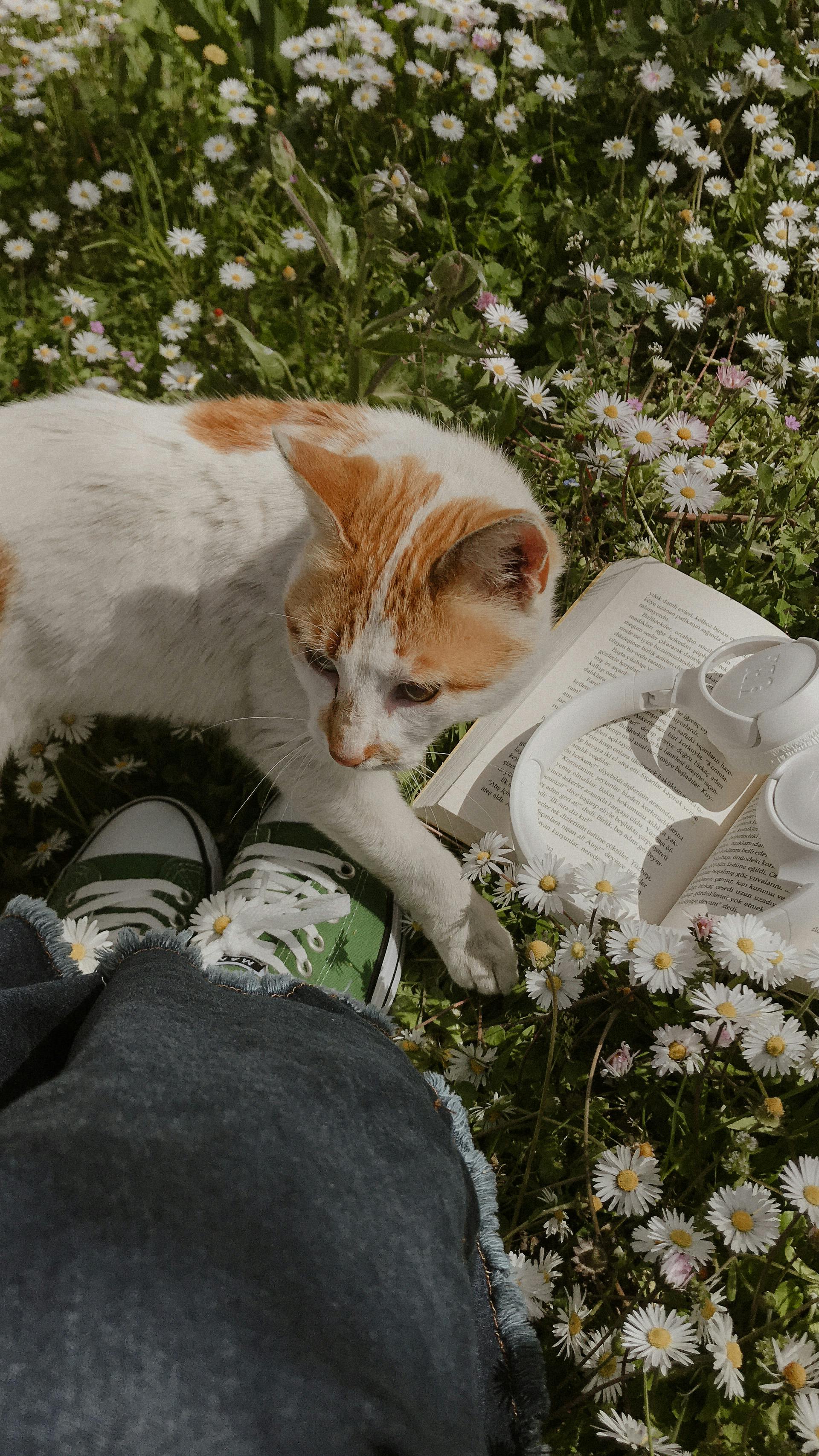 프로필사진