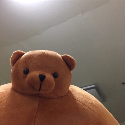 프로필사진