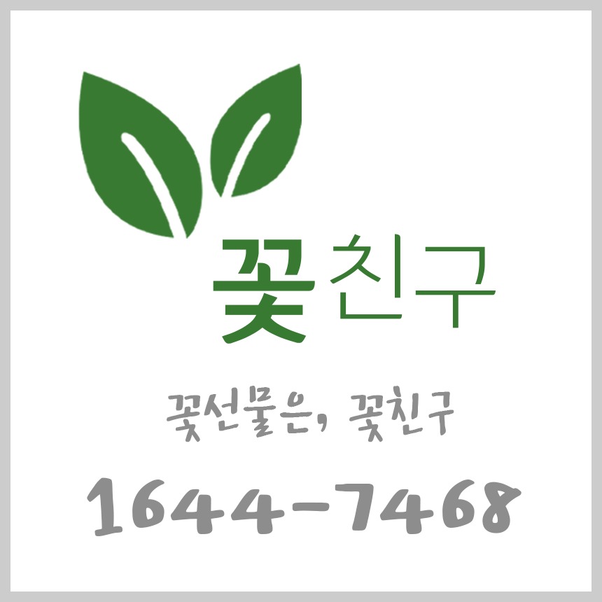 프로필사진