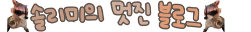 솔리믜의 블로그